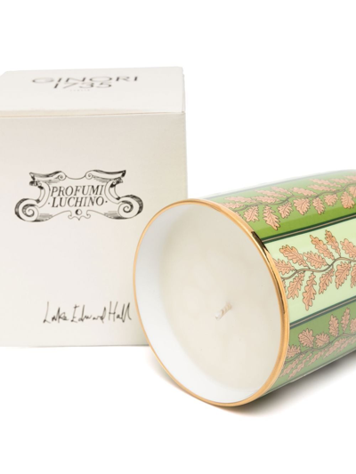 Shop Ginori 1735 Profumi Luchino Fox Thicket Folly Candle In Grün