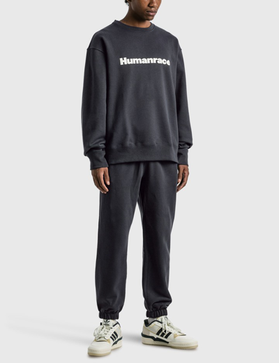 Shop Adidas Originals Pharrell Williams Basics Crew Sweatshirt In Grey