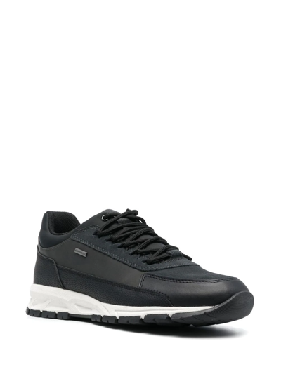 Geox Delray Low-top Sneakers In 黑色