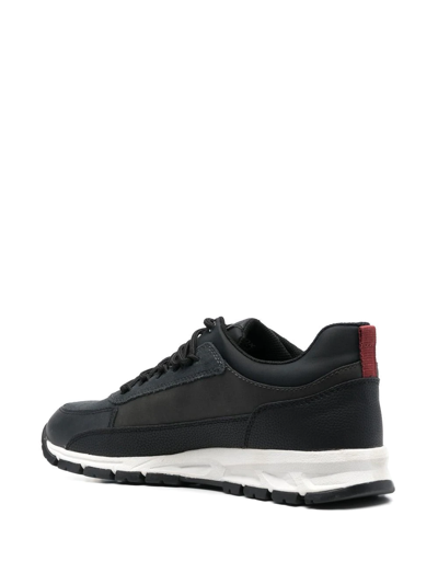 Geox Delray Low-top Sneakers In 黑色