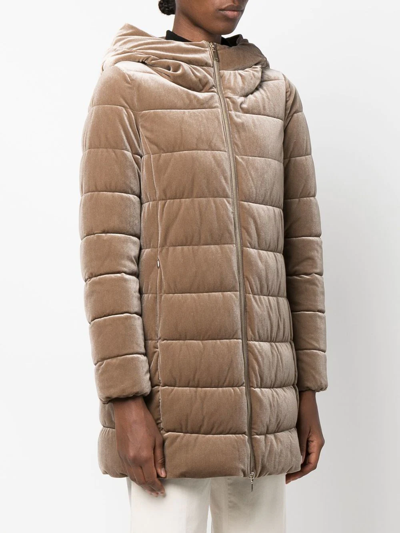 Geox Velvet-effect Padded Jacket In 褐色