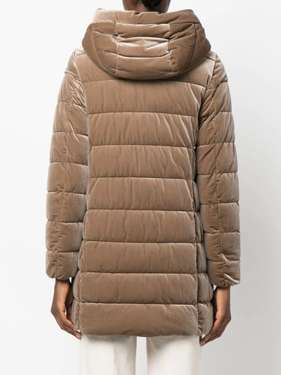 Geox Velvet-effect Padded Jacket In 褐色