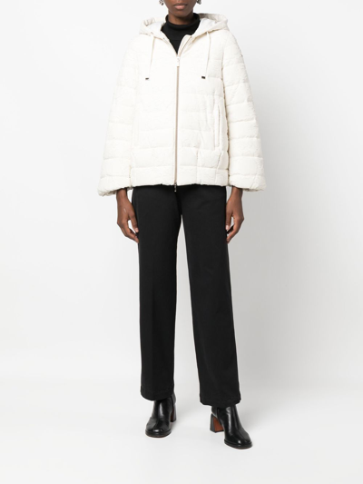 Geox Padded Zip-up Jacket In 中性色