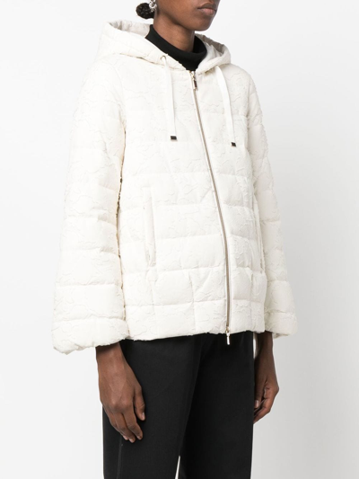 Geox Padded Zip-up Jacket In 中性色