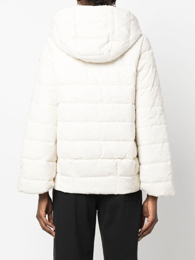 Geox Padded Zip-up Jacket In 中性色