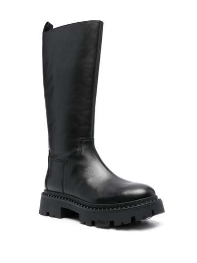 Shop Ash Black Calf Leather Gold Boots In Nero