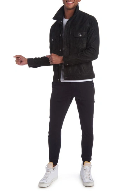 Shop Pino By Pinoporte Leather Jacket In Black