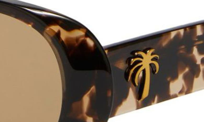 Shop Palm Angels Sierra Oval Sunglasses In Crystal Havana Mirror Bronze