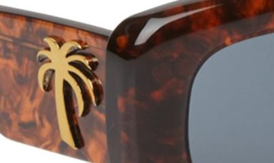 Shop Palm Angels Carmel Geometric Sunglasses In Dark Havana Blue