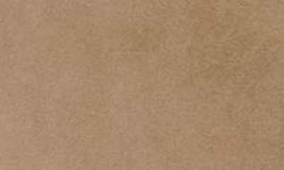 Vince Camuto Peviolia Pointed Toe Boot In Tortilla