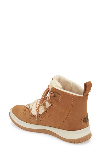Shop Ugg Lakesider Heritage Boot In Chestnut Suede
