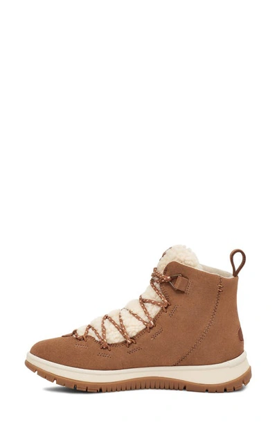Shop Ugg Lakesider Heritage Boot In Chestnut Suede