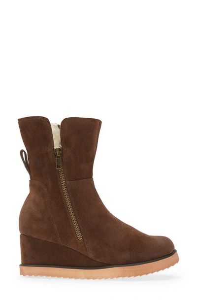 Shop Chocolat Blu Mallory Genuine Shearling Lined Boot In Chocolate Suede