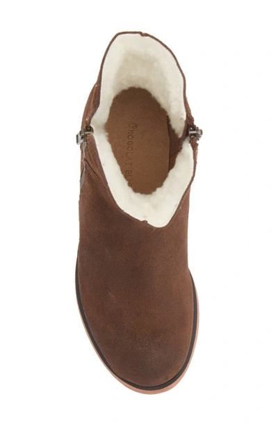 Shop Chocolat Blu Mallory Genuine Shearling Lined Boot In Chocolate Suede