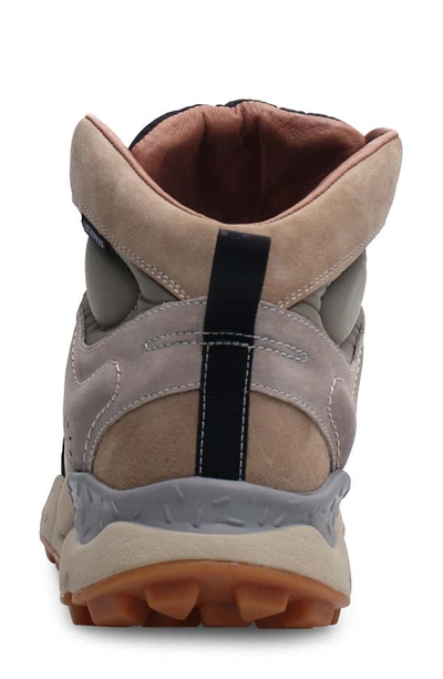 Shop Flower Mountain Back Country Waterproof High Top Sneaker In Grey-taupe