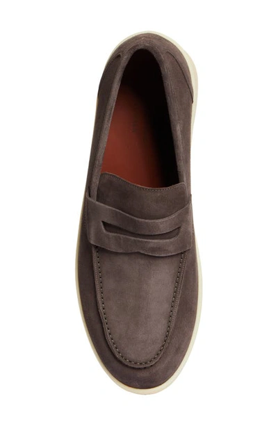 Shop Loro Piana Ultimate Penny Loafer In Warm Gray
