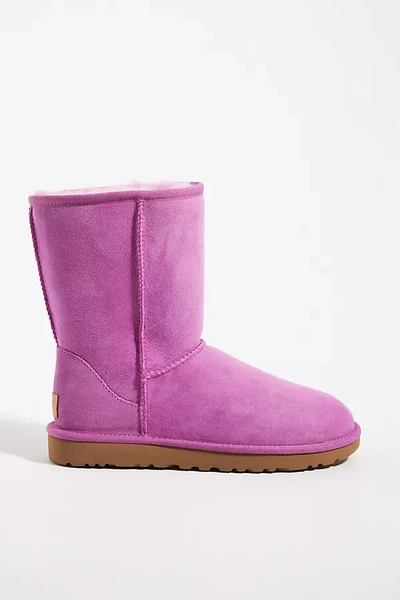 Shop Ugg Classic Ii Short Boots In Purple