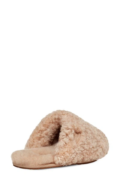 Shop Ugg Maxi Curly Genuine Shearling Clog In Sand