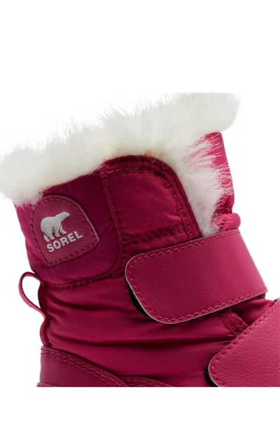 Shop Sorel Whitney™ Ii Short Waterproof Insulated Boot In Cactus Pink/ Black