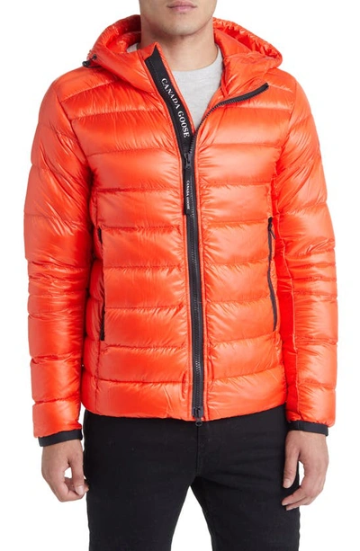 Shop Canada Goose Crofton Water Resistant Packable Quilted 750-fill-power Down Jacket In Signal Orange