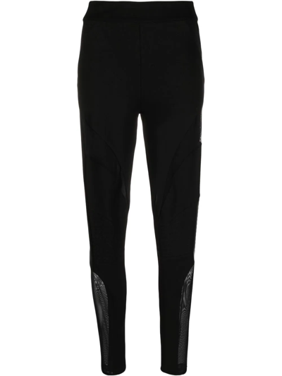 Shop Philipp Plein Sheer-panel Ribbed Stretch Leggings In Black