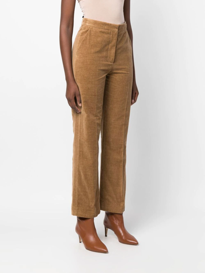 Shop Câllas Stella Cropped Trousers In Brown