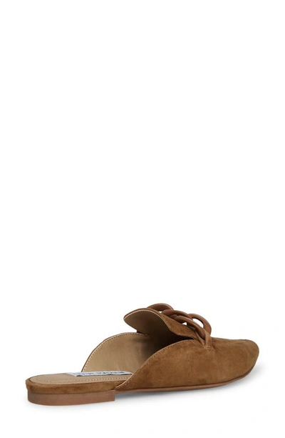 Steve Madden Fleur Pointed Toe Mule In Cognac Suede