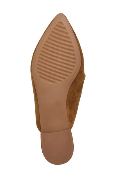 Steve Madden Fleur Pointed Toe Mule In Cognac Suede