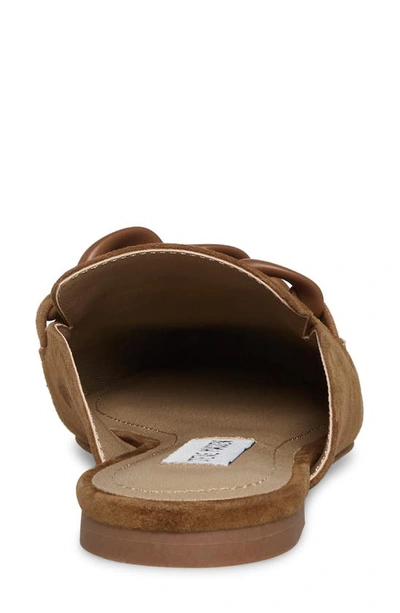 Steve Madden Fleur Pointed Toe Mule In Cognac Suede