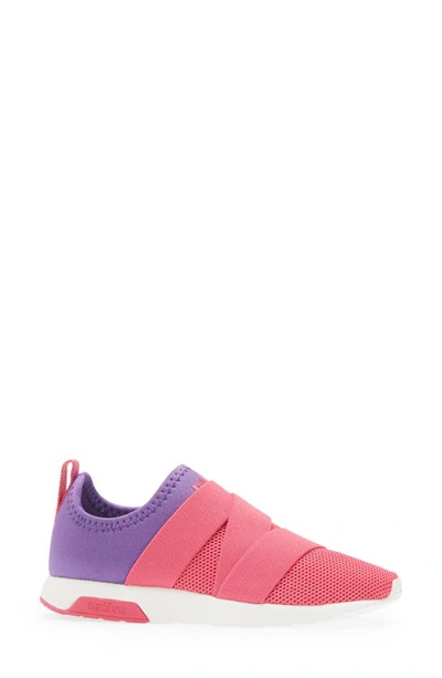 Shop Native Shoes Phoenix Slip-on Sneaker In Starfish Purple/ Pink