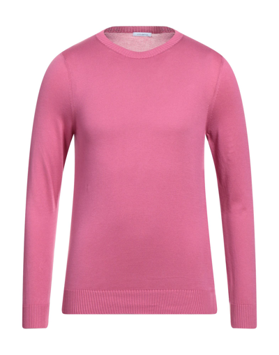 Shop Malo Man Sweater Fuchsia Size 50 Cotton In Pink