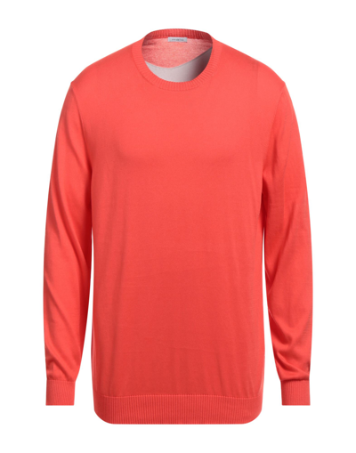 Shop Malo Man Sweater Coral Size 50 Cotton In Red