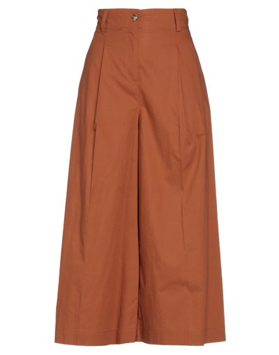 Shop Solotre Pants In Brown