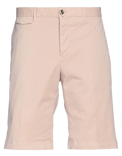 Shop Pt Torino Man Shorts & Bermuda Shorts Blush Size 36 Cotton, Elastane In Pink