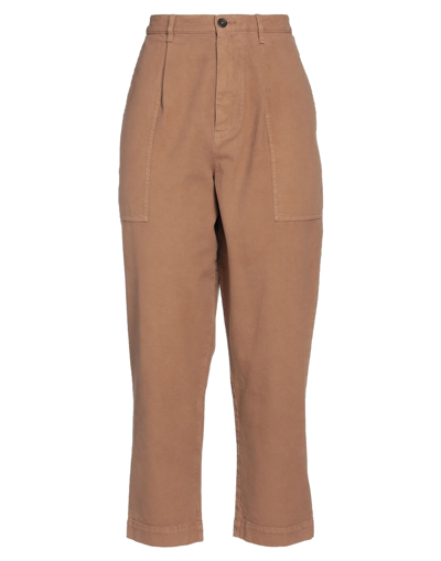 Shop Pence Woman Pants Light Brown Size 10 Cotton In Beige