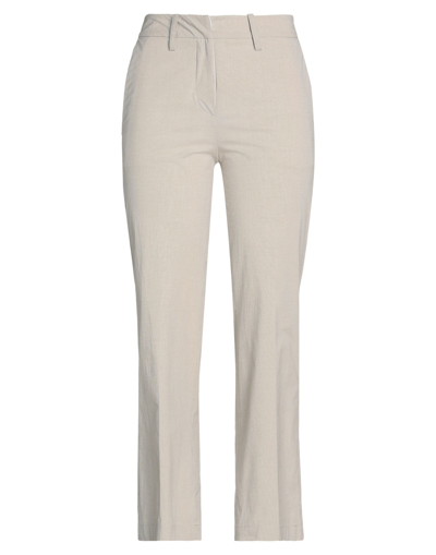 Shop Alysi Woman Pants Light Grey Size 6 Cotton, Elastane