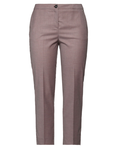 Shop Nenette Woman Pants Pastel Pink Size 10 Polyester, Virgin Wool, Viscose, Elastane