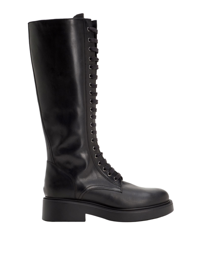 Shop Leonardo Principi Woman Boot Black Size 8 Calfskin