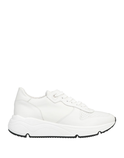 Shop Berna Man Sneakers White Size 7 Soft Leather