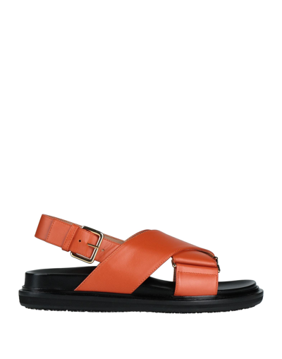 Shop Marni Woman Sandals Rust Size 5 Soft Leather In Red