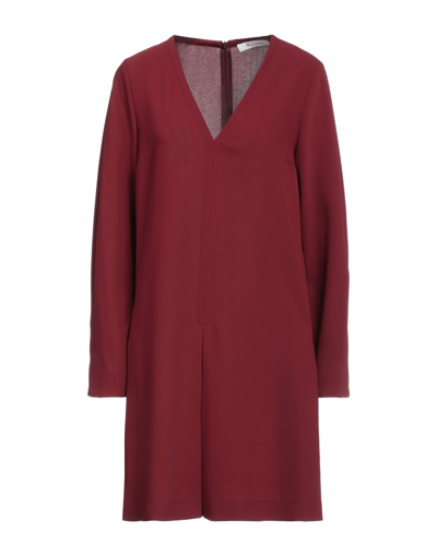 Shop See By Chloé Woman Short Dress Burgundy Size 2 Polyester In Red