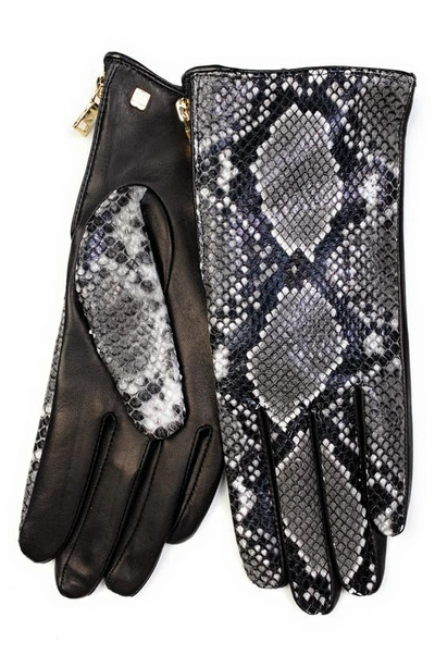 Shop Bruno Magli Snakeskin Print Leather Gloves In Black