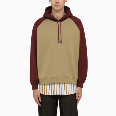 Shop Sunnei Beige/burgundy Cotton Sweatshirt