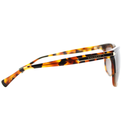 Shop Coach L109 Hc 8132 5438t5 Womens Cat-eye Sunglasses In Black