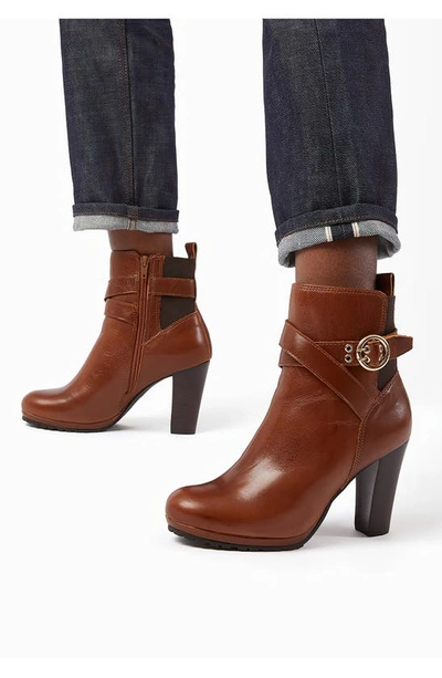 Shop Dune London Oreana Bootie In Tan