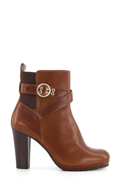 Shop Dune London Oreana Bootie In Tan