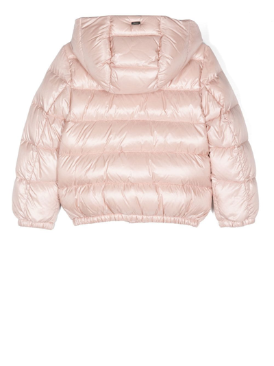 Shop Herno Logo-plaque Hooded Puffer Jacket In Pink