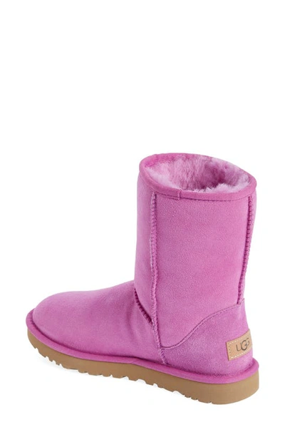 Shop Ugg Classic Ii Genuine Shearling Lined Short Boot In Purple Ruby