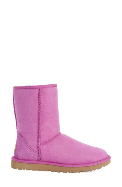 Shop Ugg Classic Ii Genuine Shearling Lined Short Boot In Purple Ruby