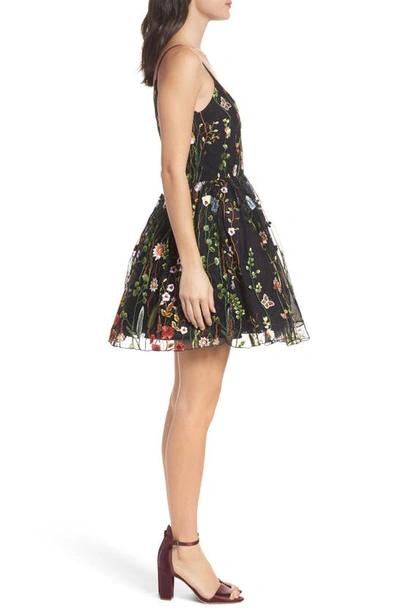 Shop Mac Duggal Embroidered Fit & Flare Cocktail Minidress In Black/multi